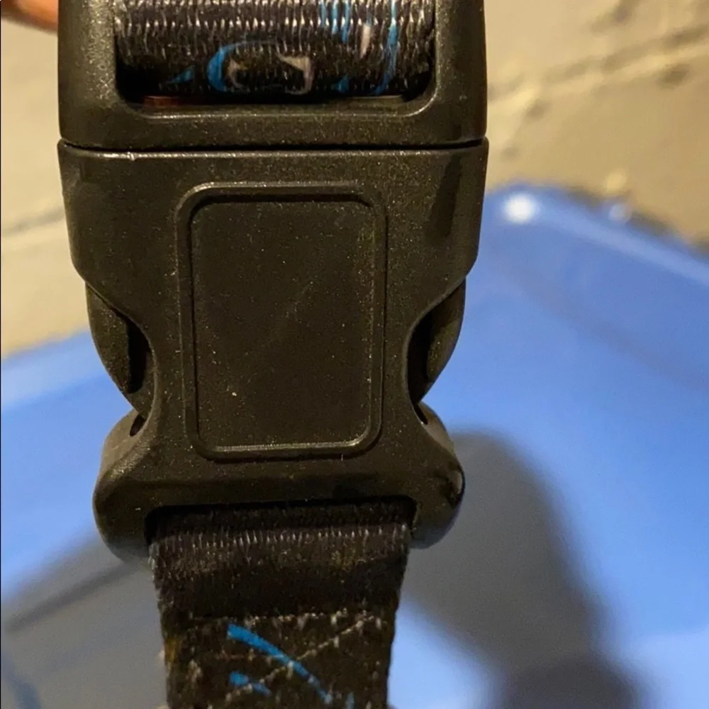 Carolina Panthers large dog collar new